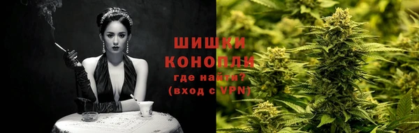 apvp Алексин