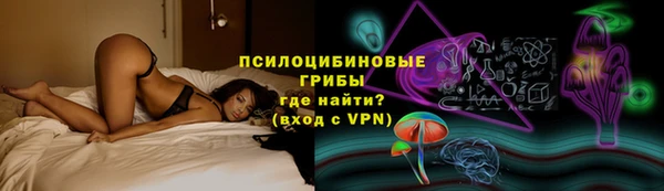дживик Алексеевка