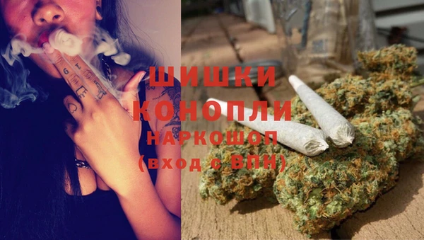 apvp Алексин
