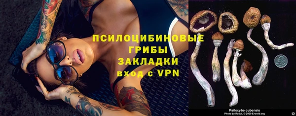 дживик Алексеевка