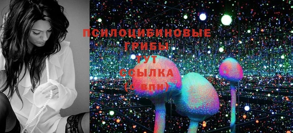 дживик Алексеевка