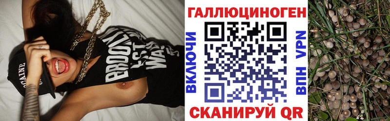 blacksprut ТОР  как найти закладки  Болгар  Псилоцибиновые грибы мухоморы 