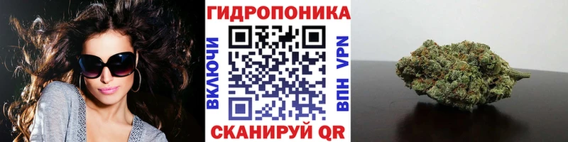 shop телеграм  где купить   MEGA ссылка  Болгар  МАРИХУАНА SATIVA & INDICA 